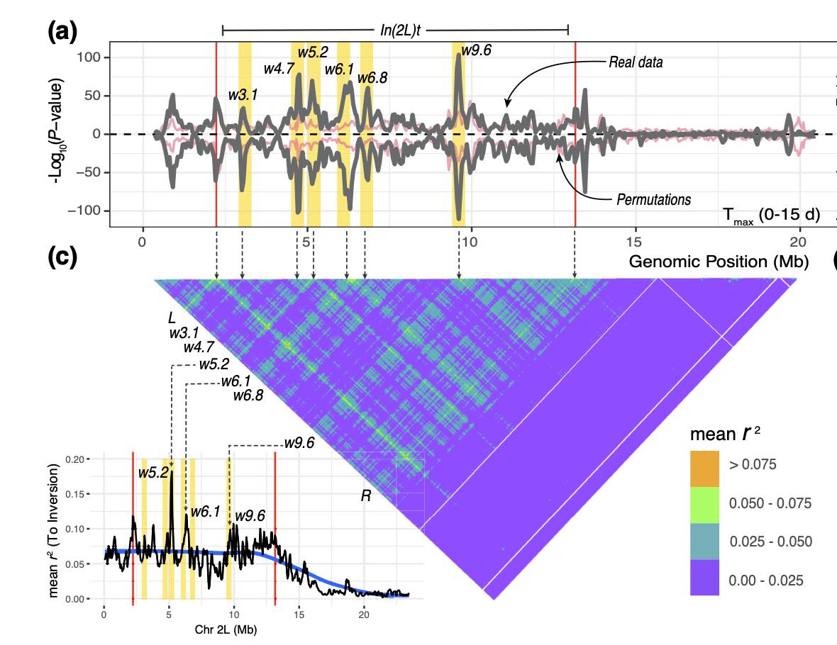 Paper published in Genetics