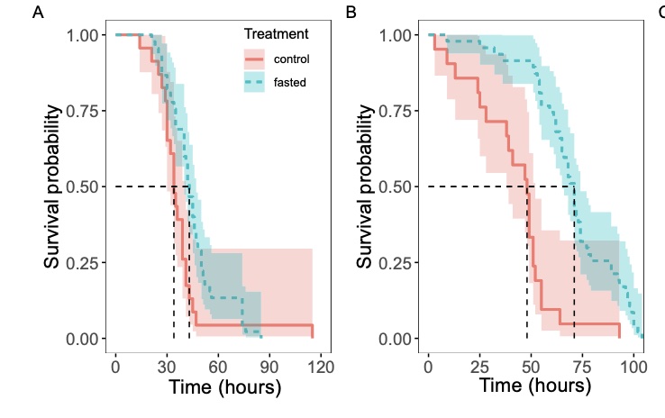 Paper published in Physiological Entomology